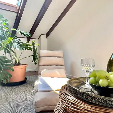 Appartement Casa Cooper *